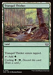 Tranquil Thicket 318