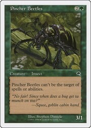 Pincher Beetles 051