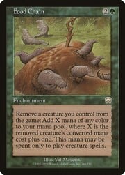 Food Chain 246