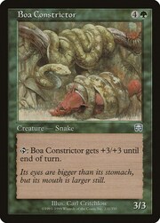 Boa Constrictor 231