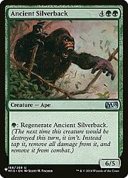 Ancient Silverback CT-302981
