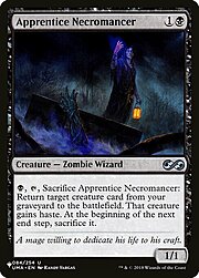 Apprentice Necromancer CT-302997