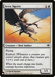 Aven Squire CT-303024