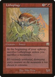 Lithophage 202
