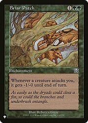 Briar Patch CT-303115