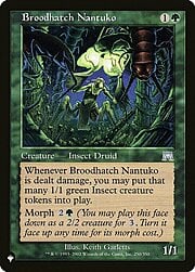 Broodhatch Nantuko CT-303120