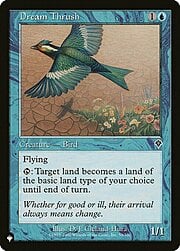 Dream Thrush CT-303280