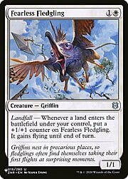 Fearless Fledgling CT-303350