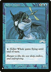 Killer Whale CT-303577
