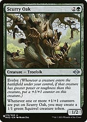 Scurry Oak CT-303921