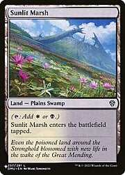Sunlit Marsh CT-304080