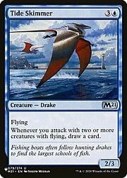 Tide Skimmer CT-304142