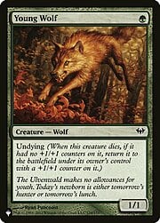 Young Wolf CT-304290