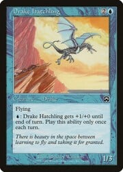 Drake Hatchling 076