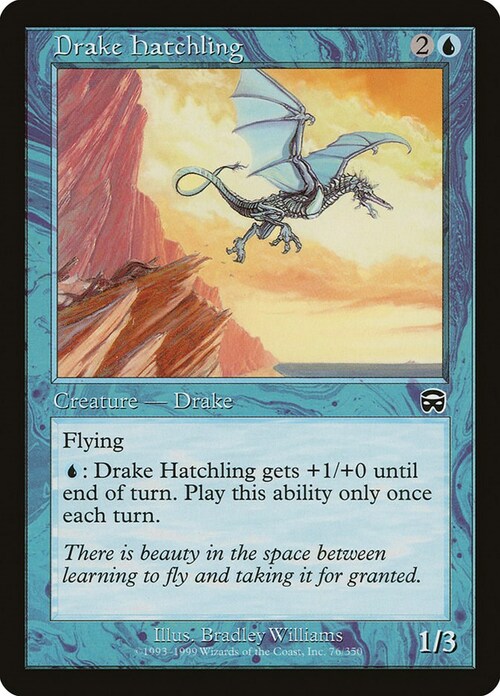 Drake Hatchling Card Front