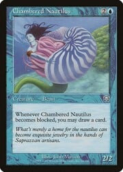 Chambered Nautilus 064