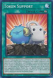 Token Support · Common 067