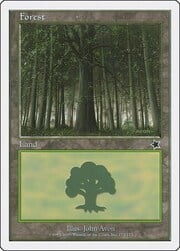Forest · 172 172