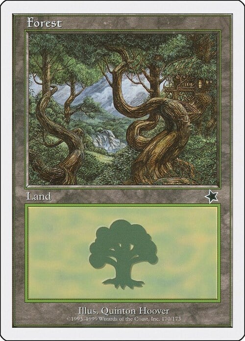 Forest Card Front