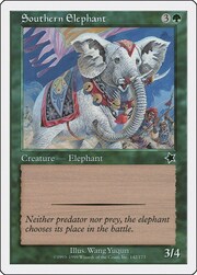 Southern Elephant 142