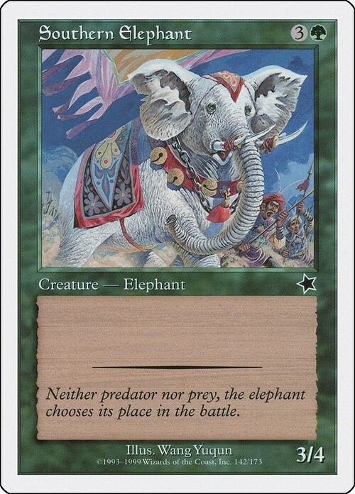 Southern Elephant Card Front