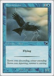 Storm Crow 053