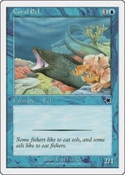 Coral Eel 033