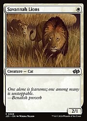 Savannah Lions 249