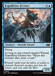 Expedition Diviner 307