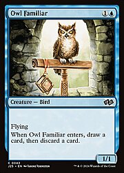 Owl Familiar 342