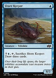 Shore Keeper 355