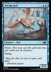 Vexing Gull 381