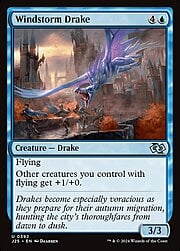 Windstorm Drake 392
