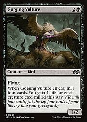 Gorging Vulture 449