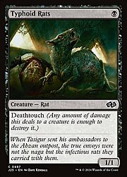 Typhoid Rats 497
