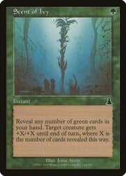 Scent of Ivy 120