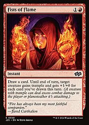 Fists of Flame 550