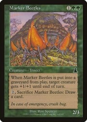 Marker Beetles 112
