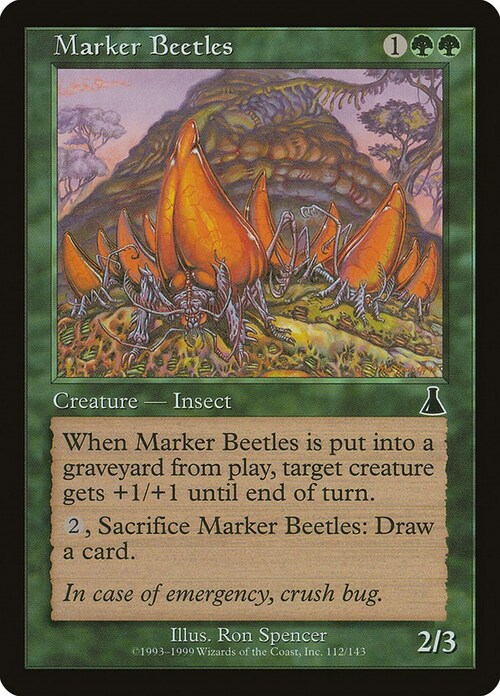 Marker Beetles Card Front