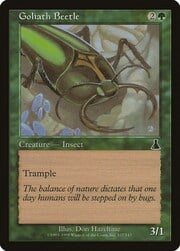 Goliath Beetle 107