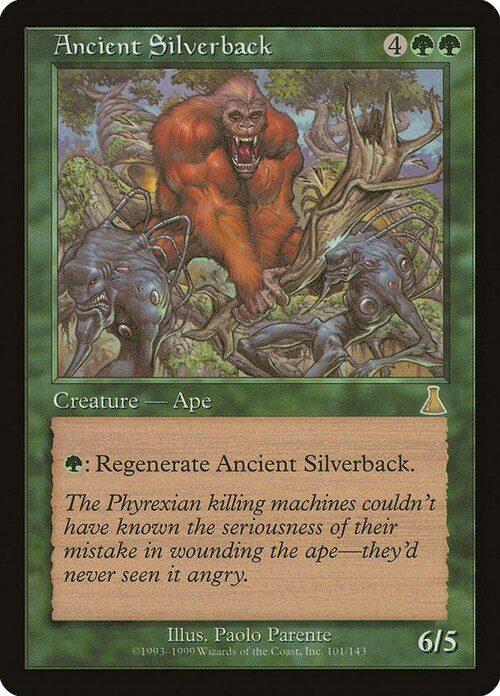 Ancient Silverback Card Front