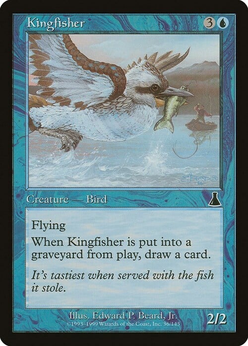 Kingfisher Card Front