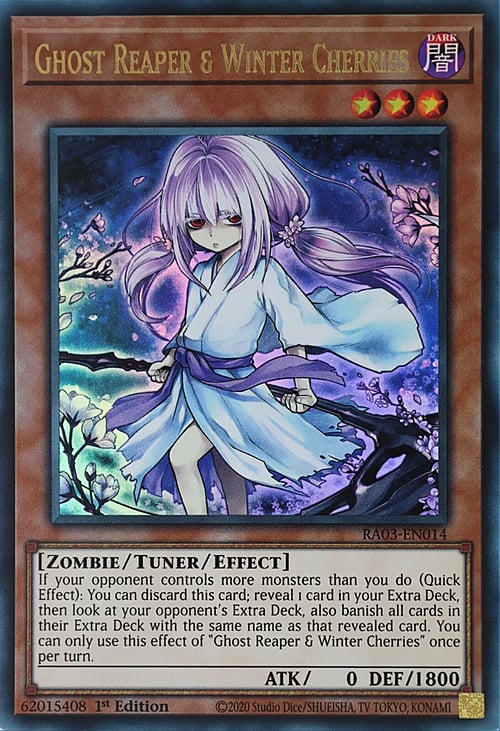 Ghost Reaper & Winter Cherries Card Front