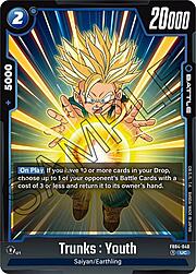 Trunks : Youth FB04-040