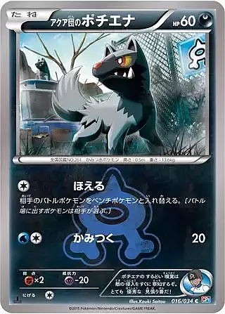 Team Aqua's Poochyena Card Front