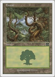 Forest · 347 347