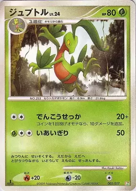 Grovyle Lv.24 Card Front