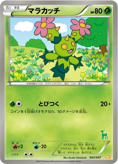 Maractus Card Front