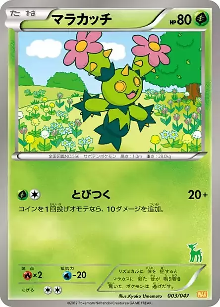 Maractus Card Front