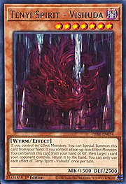 Tenyi Spirit - Vishuda · Rare 054